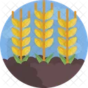 Nature Plant Wheat Icon