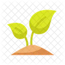 Plant Leaf Grow Icon