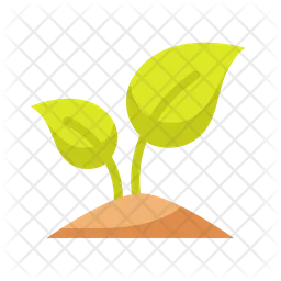 Plant  Icon