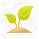 Plant Leaf Grow Icon