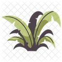 Plant Grass Leaf Icon