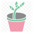 Plant  Icon