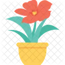 Plant Pot Potted Icon