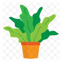 Plant  Icon