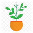 Plant  Icon