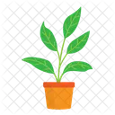 Plant  Icon