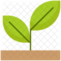 Plant  Icon