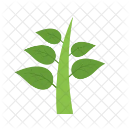 Plant  Icon