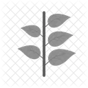 Plant Leaves Icon