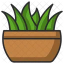 Plant  Icon