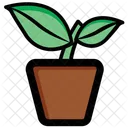 Plant Potted Gardening Icon