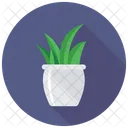 Potted Plant Grass Icon