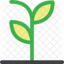 Cactus Ecology Garden Icon