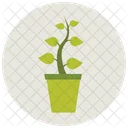 Plant Pot Leaf Icon