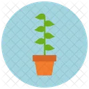 Plant Leaf Pot Icon