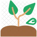 Plant Agricultural Ecology Icon