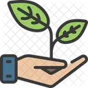 Plant Nature Hand Icon