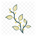 가지 식물 잎 아이콘