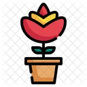 Plant Pot Spring Icon