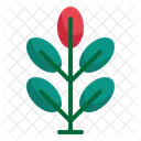 Plant Flower Spring Icon