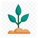 Plant Growth Spring Icon