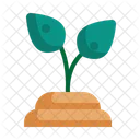 Tree Growth Plant Icon