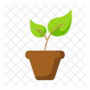 Plant Plant Pot Pot Icon