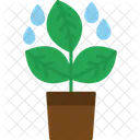 Plant  Icon