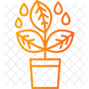 Plant  Icon