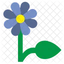 Present Bud Flower Icon