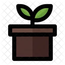 Plant Flower Leaf Icon