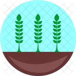 Plant  Icon