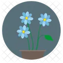 Plant Bud Flower Icon