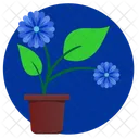 Plant Home Flower Icon