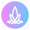 Plant  Icon