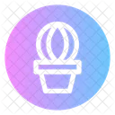 Plant  Icon