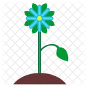 Plant Bud Leaf Icon