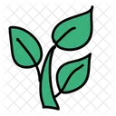 Plant Leaf Greenery Icon