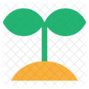 Plant Sprout Seedling Icon