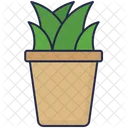 Plant Leaf Leave Icon