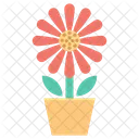 Plant Pot Potted Icon