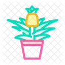 Plant Flower Pineapple Icon