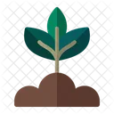 Plant Nature Leaf Icon