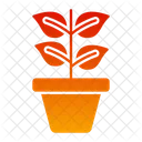 Plant Decorative Plant Plant Pot Icon