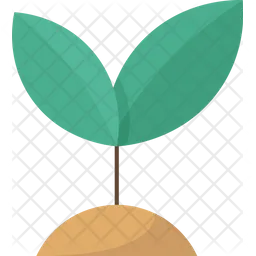 Plant  Icon