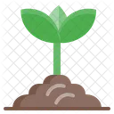 식물  아이콘