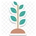 Plant Planting Sapling Icon
