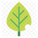 Plant  Icon