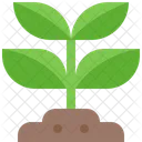 Plant Growth Sapling Icon