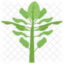Plant Sprout Plantation Icon